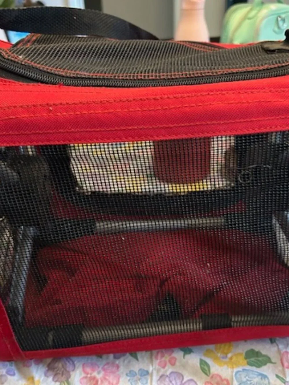 Durable Red Canvas Small Pet Carrier